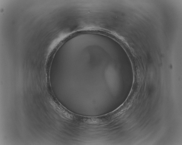 X0000076091319200610061631