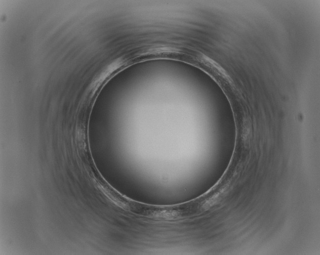 X0000076091321200610061631