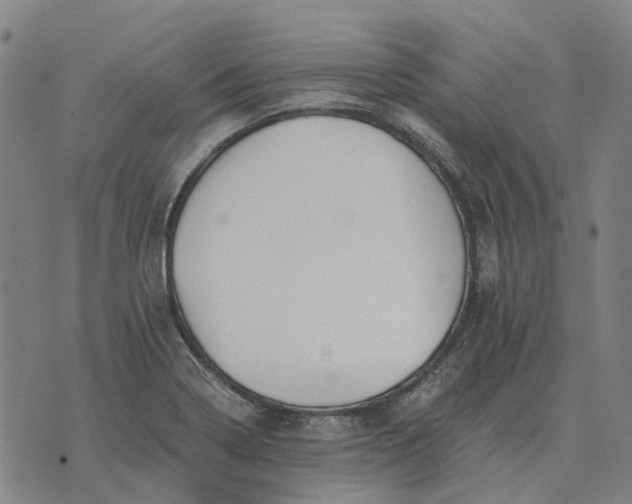 X0000076091322200610061631