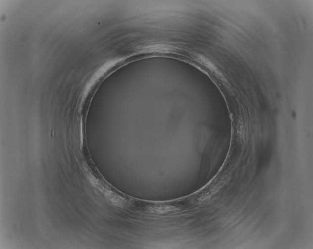 X0000076091323200610061631