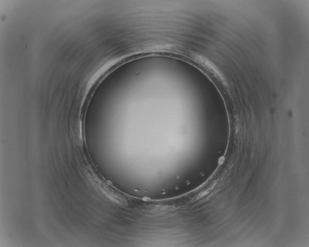 X0000076091324200610061631