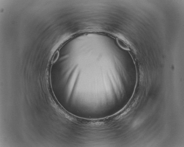 X0000076091325200610061631