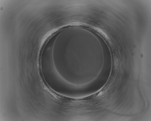 X0000076091327200610061631