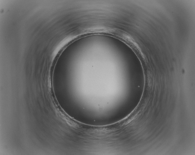 X0000076091328200610061631