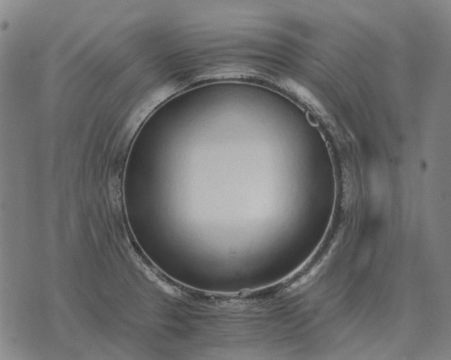 X0000076091329200610061631