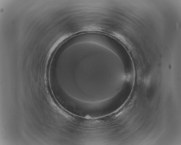 X0000076091331200610061631