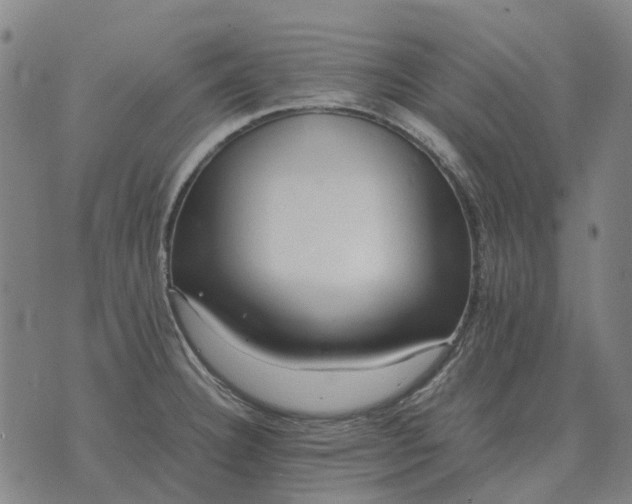 X0000076091332200610061631