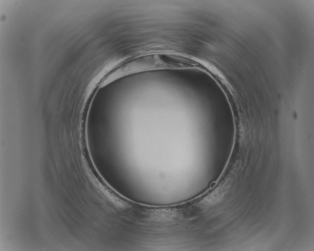 X0000076091333200610061631