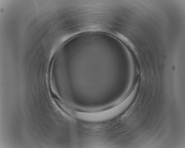 X0000076091334200610061631