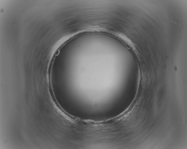 X0000076091335200610061631