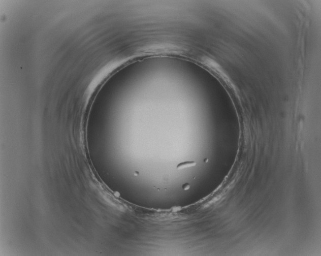 X0000076091336200610061631