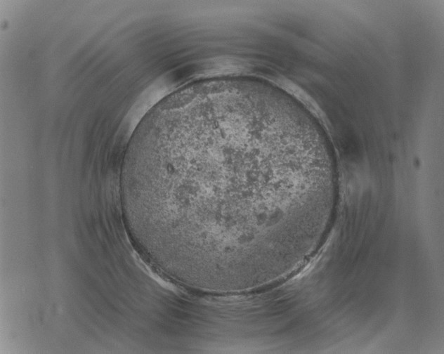 X0000076091337200610061631