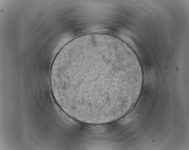 X0000076091338200610061631