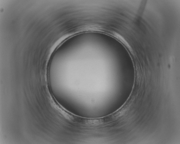 X0000076091339200610061631