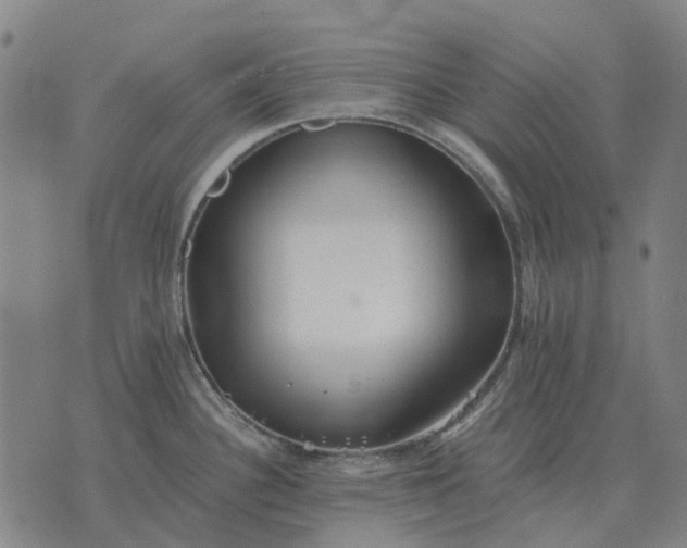 X0000076091340200610061631