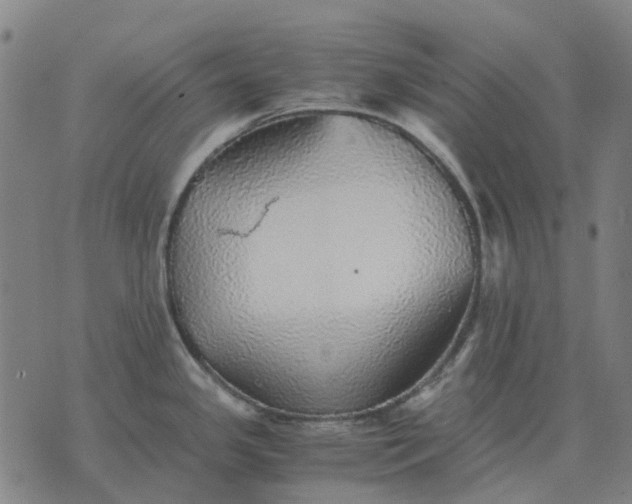 X0000076091341200610061631