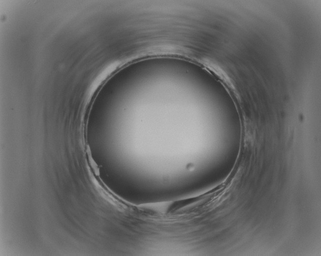 X0000076091342200610061631