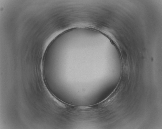 X0000076091343200610061631