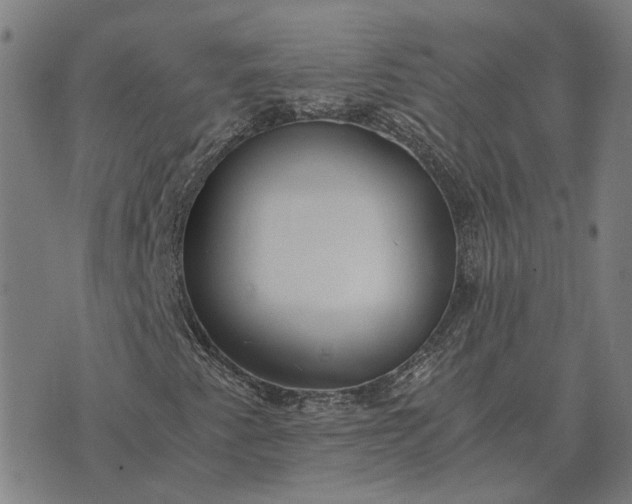 X0000076091345200610061631