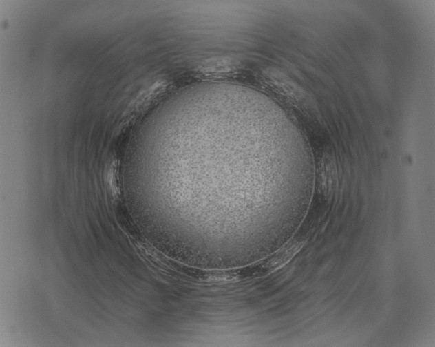 X0000076091346200610061631