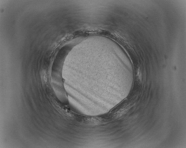 X0000076091348200610061631