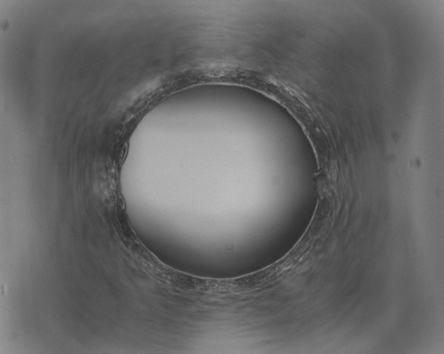 X0000076091349200610061631