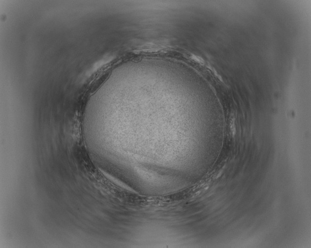 X0000076091350200610061631