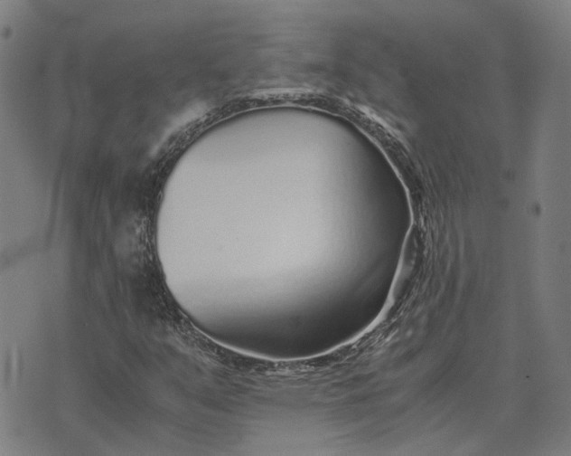 X0000076091351200610061631