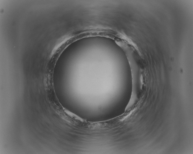 X0000076091352200610061631