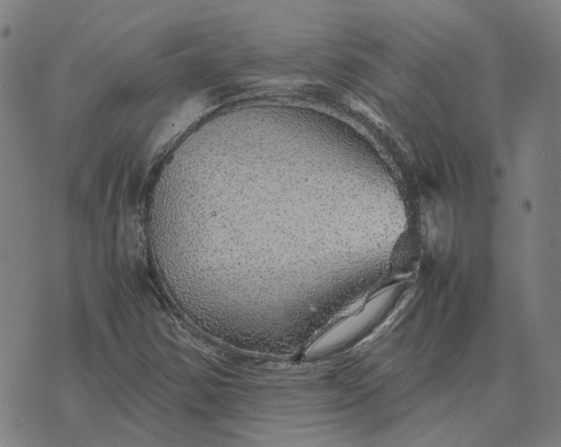 X0000076091354200610061631