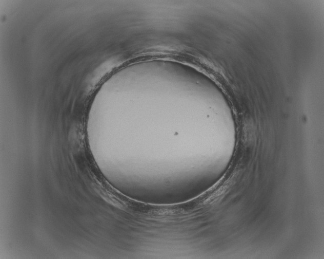 X0000076091355200610061631