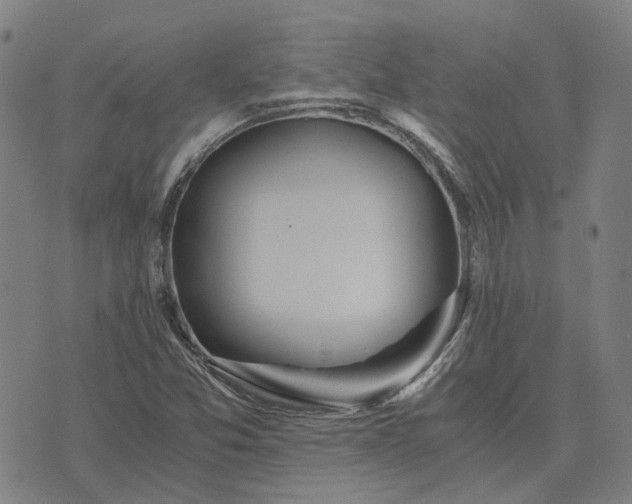 X0000076091357200610061631