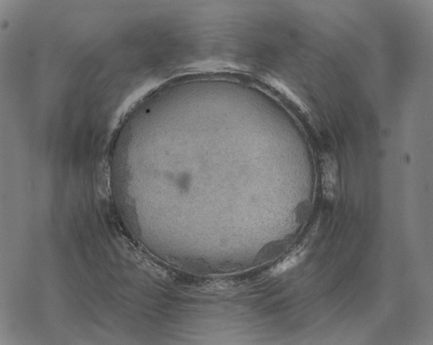 X0000076091358200610061631