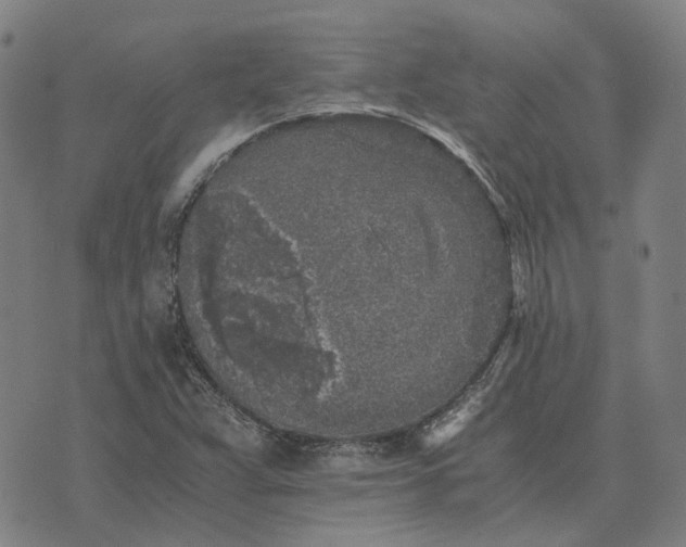 X0000076091359200610061630