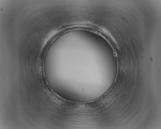 X0000076091360200610061630