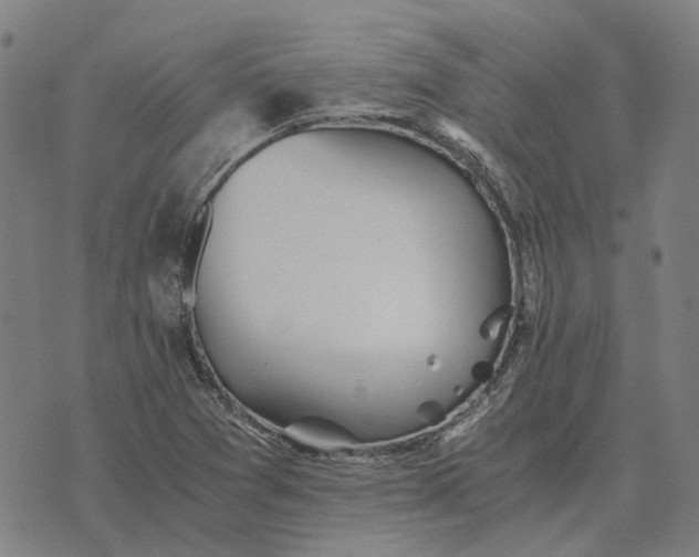 X0000076091361200610061630