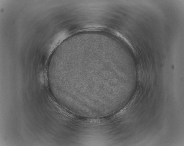 X0000076091362200610061630