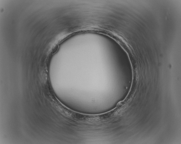 X0000076091363200610061630