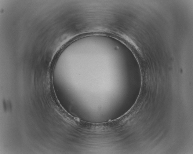 X0000076091364200610061630