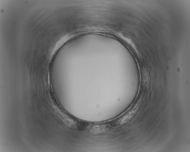 X0000076091365200610061630