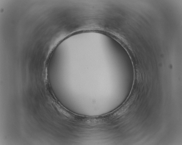 X0000076091366200610061630