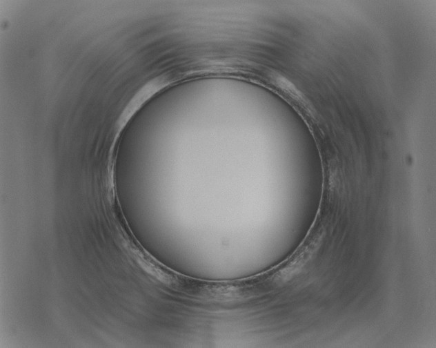 X0000076091370200610061630