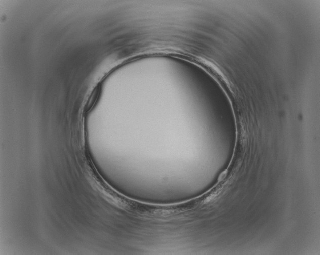 X0000076091371200610061630