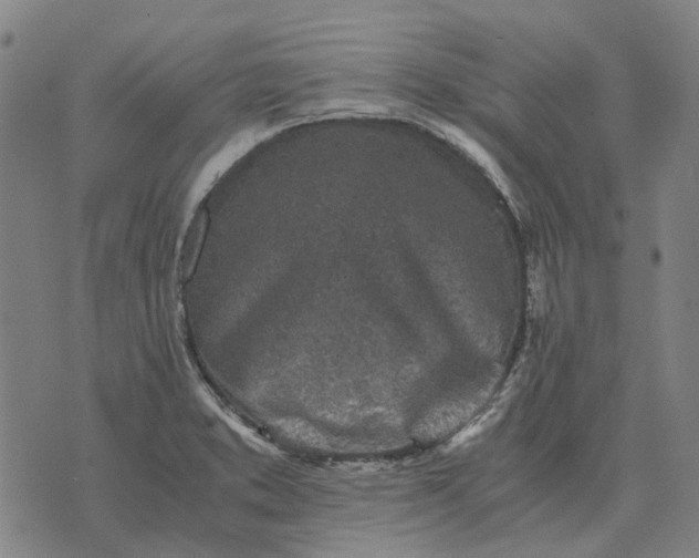 X0000076091373200610061630