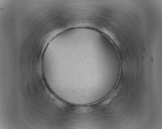 X0000076091374200610061630