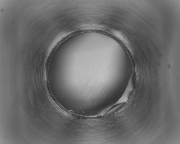 X0000076091376200610061630