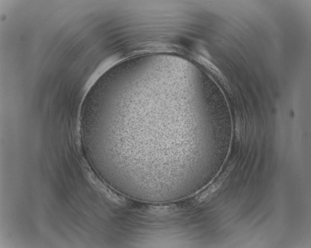 X0000076091378200610061630