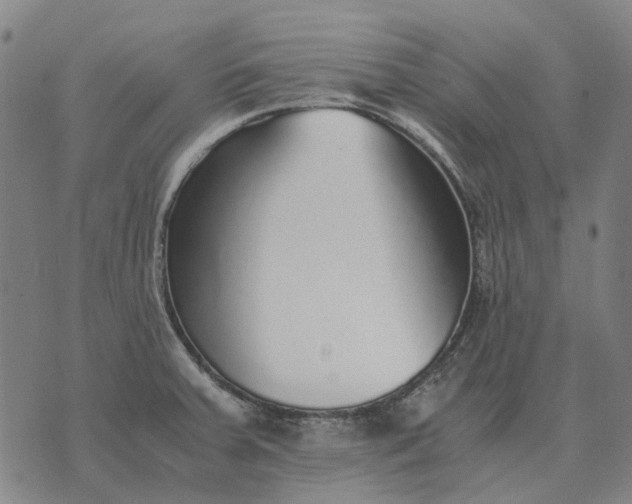 X0000076091379200610061630