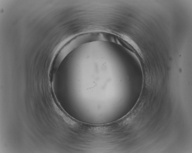 X0000076091380200610061630