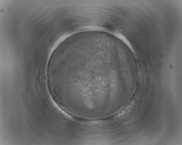 X0000076091381200610061630